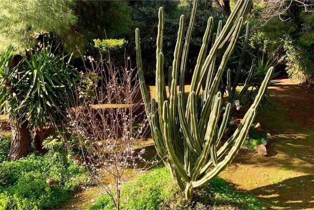 Athens Riviera Garden Views Apartment #Unoblu Екстериор снимка